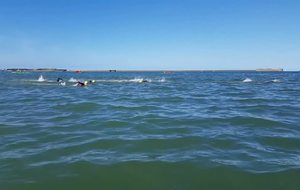 1500m5