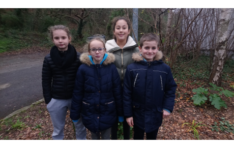 Stage Groupement avenir départemental