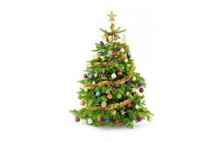 Noel approche...Commande de Sapins